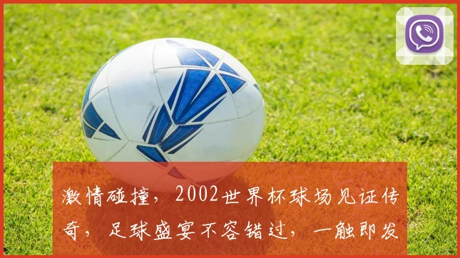 激情碰撞，2002世界杯球场见证传奇，足球盛宴不容错过，一触即发