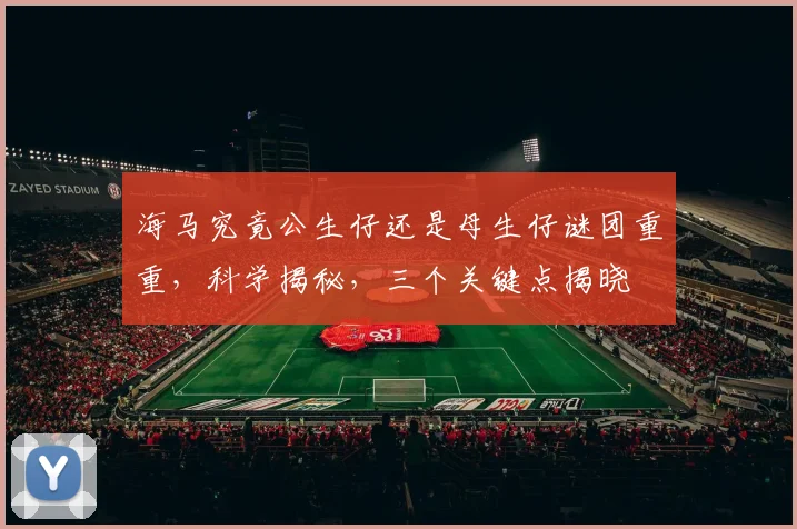 海马究竟公生仔还是母生仔谜团重重，科学揭秘，三个关键点揭晓