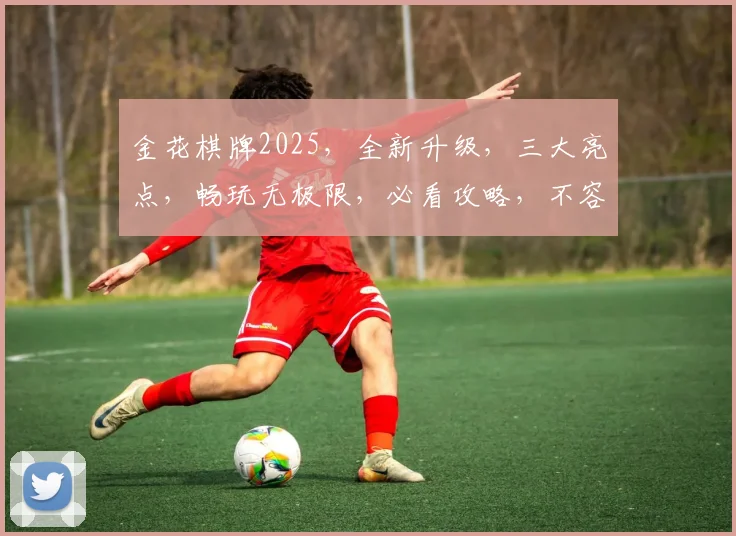 金花棋牌2025，全新升级，三大亮点，畅玩无极限，必看攻略，不容错过